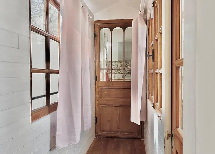 公寓 Au Croco Fleuri, 50m Des Arenes, Terrasse