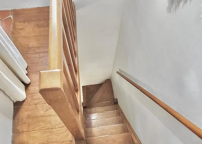 Au Croco Fleuri, 50m Des Arenes, Terrasse Nimes