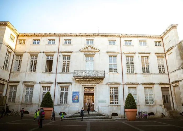 Au Croco Fleuri, 50m Des Arenes, Terrasse 公寓 *